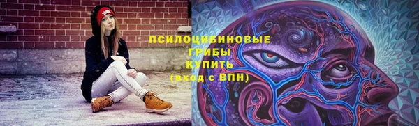 герыч Мегион