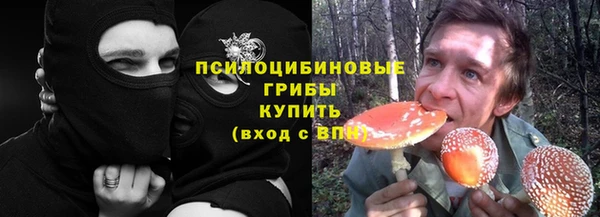 мдпв Михайловск