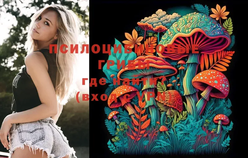 Псилоцибиновые грибы Psilocybe Опочка