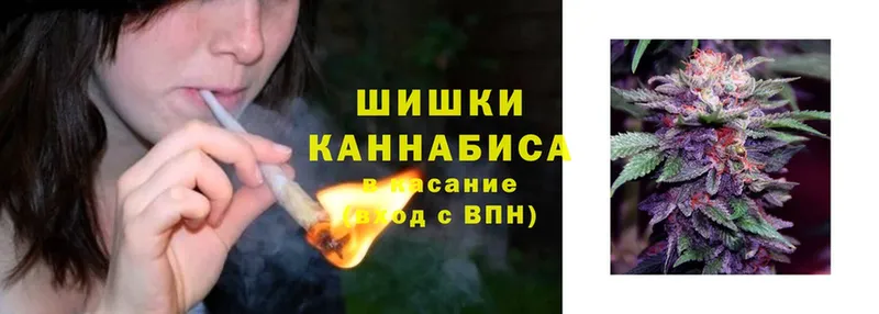 мега ТОР  где купить   Опочка  Каннабис THC 21% 